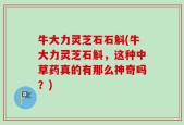 牛大力灵芝石石斛(牛大力灵芝石斛，这种中草药真的有那么神奇吗？)