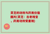灵芝的功效与药用价值图片(灵芝：古老瑰宝，药用功效受重视)