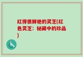 红得很鲜艳的灵芝(红色灵芝：秘藏中的珍品)