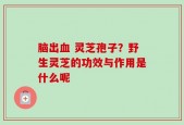 脑出血 灵芝孢子？野生灵芝的功效与作用是什么呢
