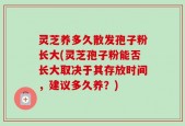灵芝养多久散发孢子粉长大(灵芝孢子粉能否长大取决于其存放时间，建议多久养？)