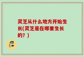 灵芝从什么地方开始生长(灵芝是在哪里生长的？)