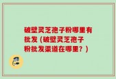 破壁灵芝孢子粉哪里有批发 (破壁灵芝孢子粉批发渠道在哪里？)