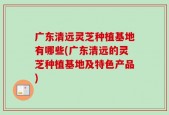广东清远灵芝种植基地有哪些(广东清远的灵芝种植基地及特色产品)