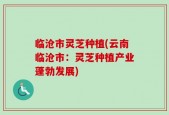 临沧市灵芝种植(云南临沧市：灵芝种植产业蓬勃发展)