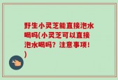 野生小灵芝能直接泡水喝吗(小灵芝可以直接泡水喝吗？注意事项！)