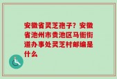 安徽省灵芝孢子？安徽省池州市贵池区马衙街道办事处灵芝村邮编是什么