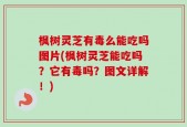 枫树灵芝有毒么能吃吗图片(枫树灵芝能吃吗？它有毒吗？图文详解！)