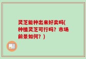 灵芝能种出来好卖吗(种植灵芝可行吗？市场前景如何？)