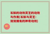 石斛的功效灵芝的功效与作用(石斛与灵芝：双双拥有的神奇功效)