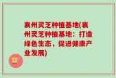 襄州灵芝种植基地(襄州灵芝种植基地：打造绿色生态，促进健康产业发展)