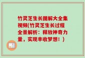 竹灵芝生长图解大全集视频(竹灵芝生长过程全景解析：释放神奇力量，实现丰收梦想！)