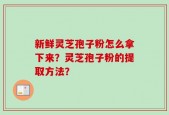 新鲜灵芝孢子粉怎么拿下来？灵芝孢子粉的提取方法？