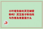 小叶增生能吃灵芝破壁粉吗？灵芝孢子粉功效与作用及用量是什么