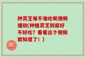 种灵芝难不难吃呢视频播放(种植灵芝到底好不好吃？看看这个视频就知道了！)