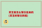 灵芝是怎么繁衍出来的(灵芝的繁衍历程)