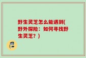 野生灵芝怎么能遇到(野外探险：如何寻找野生灵芝？)