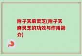 附子天麻灵芝(附子天麻灵芝的功效与作用简介)