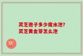 灵芝孢子多少度水泡？灵芝黄金芽怎么泡