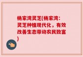 杨家湾灵芝(杨家湾：灵芝种植现代化，有效改善生态带动农民致富)
