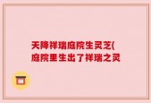 天降祥瑞庭院生灵芝(庭院里生出了祥瑞之灵