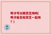 鸭子可以跟灵芝炖吗(鸭子能否和灵芝一起炖？)