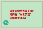 珍贵药材树舌灵芝(珍稀药材“树舌灵芝”：药膳养生佳品)