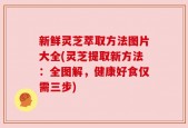 新鲜灵芝萃取方法图片大全(灵芝提取新方法：全图解，健康好食仅需三步)