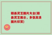 赣县灵芝图片大全(赣县灵芝展示，多张高清图片欣赏)
