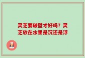 灵芝要破壁才好吗？灵芝放在水里是沉还是浮