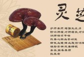 女人长期吃灵芝孢子粉可以美容养颜，是真的吗？有没有副作用？