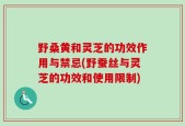 野桑黄和灵芝的功效作用与禁忌(野蚕丝与灵芝的功效和使用限制)