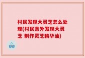 村民发现大灵芝怎么处理(村民意外发现大灵芝 制作灵芝精华油)