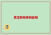 灵芝野和养的区别