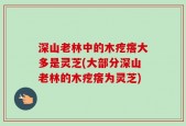 深山老林中的木疙瘩大多是灵芝(大部分深山老林的木疙瘩为灵芝)