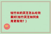 枯竹长的灵芝怎么吃效果好(枯竹灵芝如何食用更有效？)