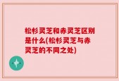 松杉灵芝和赤灵芝区别是什么(松杉灵芝与赤灵芝的不同之处)