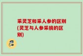 采灵芝和采人参的区别(灵芝与人参采摘的区别)