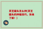 灵芝罐头怎么种(灵芝罐头的种植技巧，快来了解！)