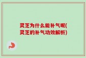 灵芝为什么能补气呢(灵芝的补气功效解析)