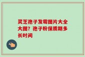 灵芝孢子发霉图片大全大图？孢子粉保质期多长时间