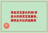 孝昌灵芝堂大药房(孝昌大药房灵芝堂重现，提供全方位药品服务