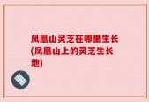 凤凰山灵芝在哪里生长(凤凰山上的灵芝生长地)
