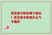 灵芝孢子粉在哪个部位？灵芝孢子粉用什么勺子最好