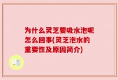 为什么灵芝要吸水泡呢怎么回事(灵芝泡水的重要性及原因简介)