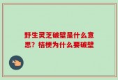 野生灵芝破壁是什么意思？桔梗为什么要破壁