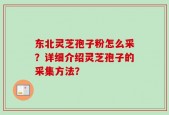 东北灵芝孢子粉怎么采？详细介绍灵芝孢子的采集方法？