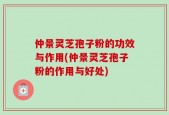 仲景灵芝孢子粉的功效与作用(仲景灵芝孢子粉的作用与好处)