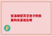 低温破壁灵芝孢子粉胶囊购买渠道在哪