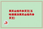 黄芪山楂丹参灵芝(五味健康汤黄芪山楂丹参灵芝)